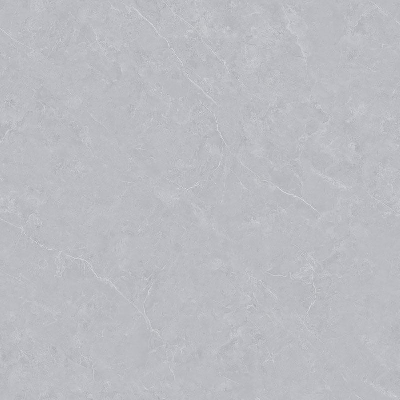 CMS013