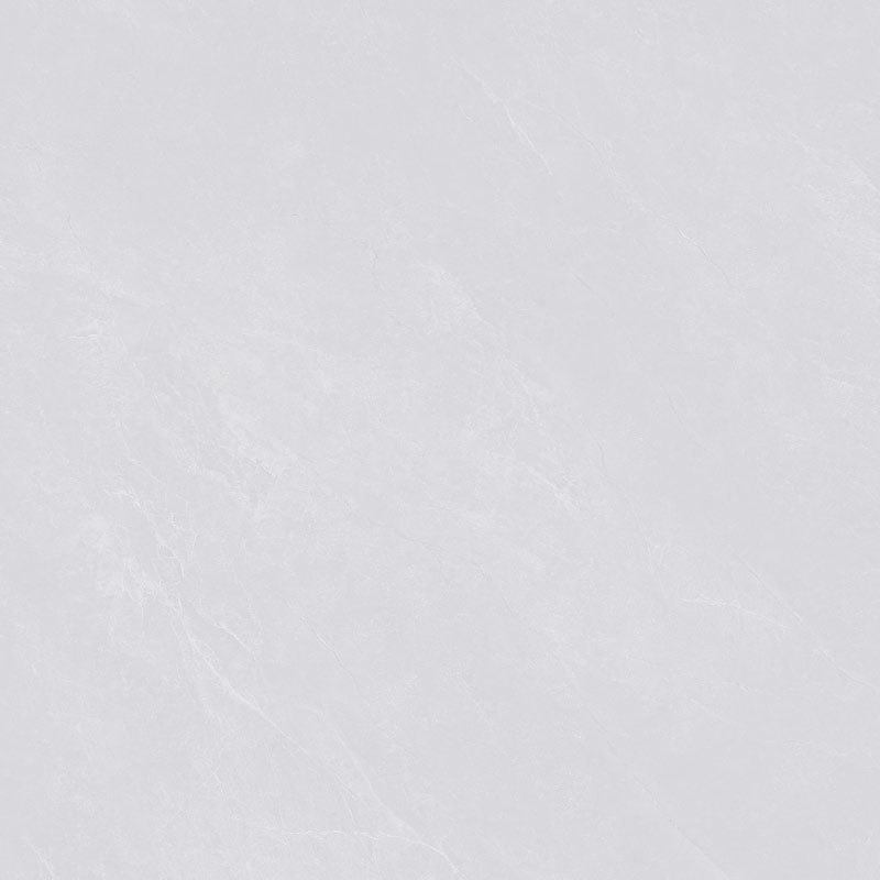 CMS055